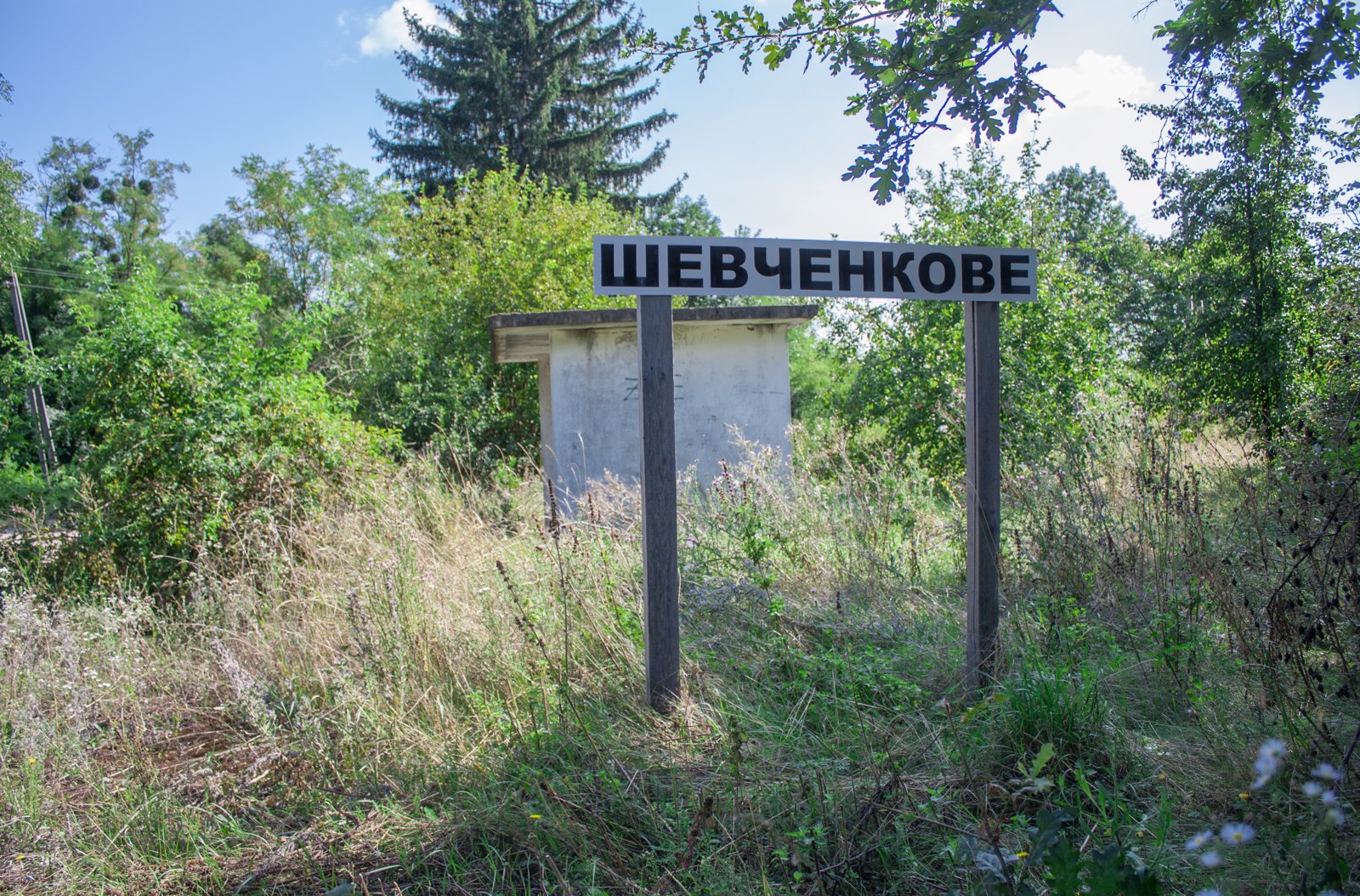 Фото села Шевченкове