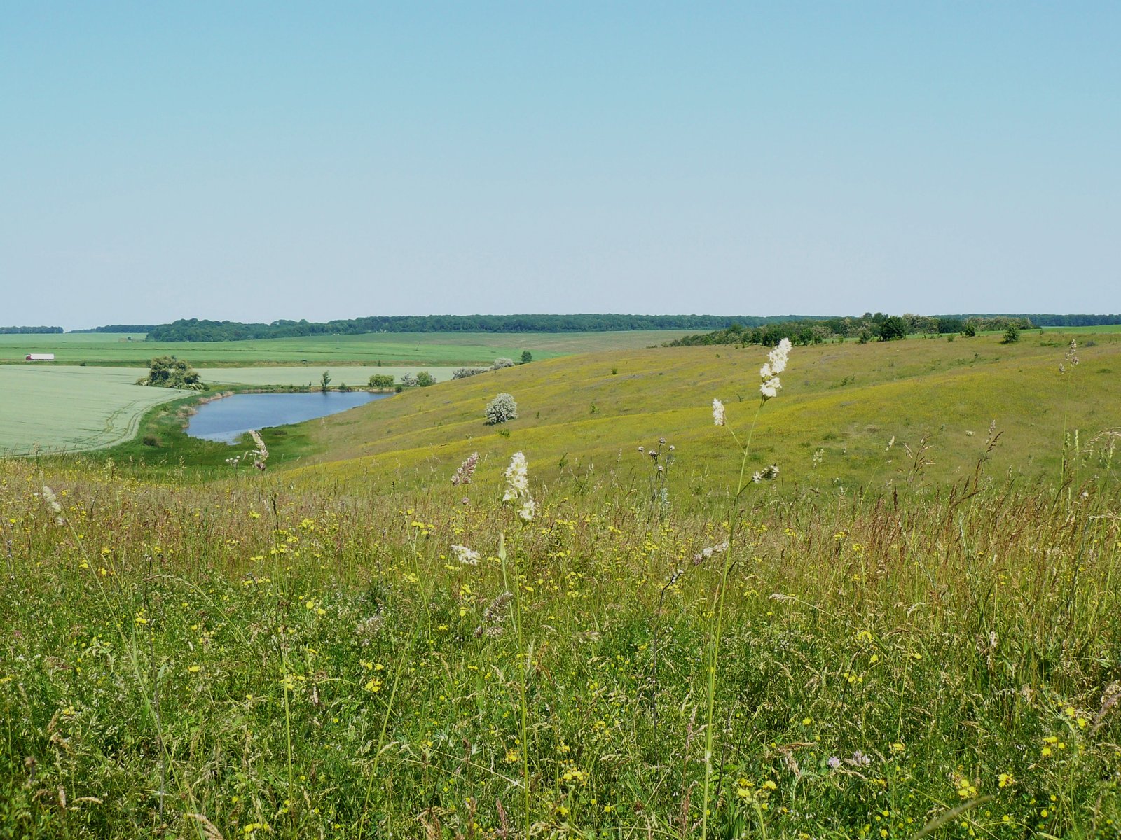 Фото села Сніжки