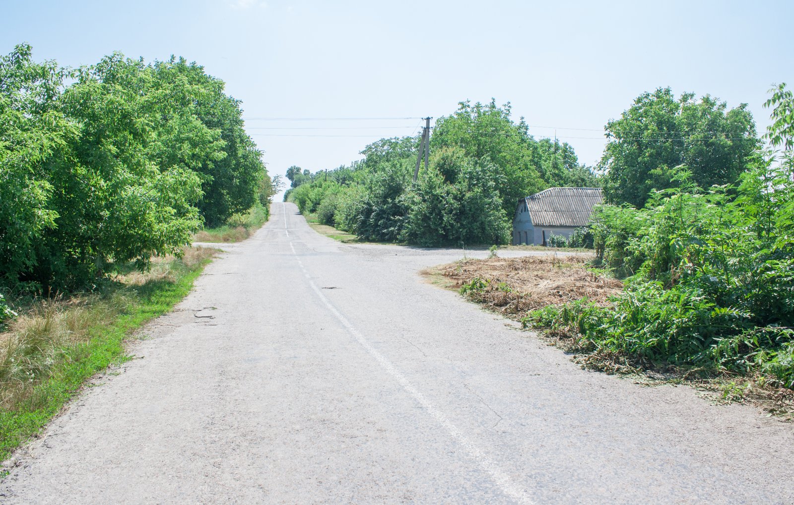 Фото села Червоне