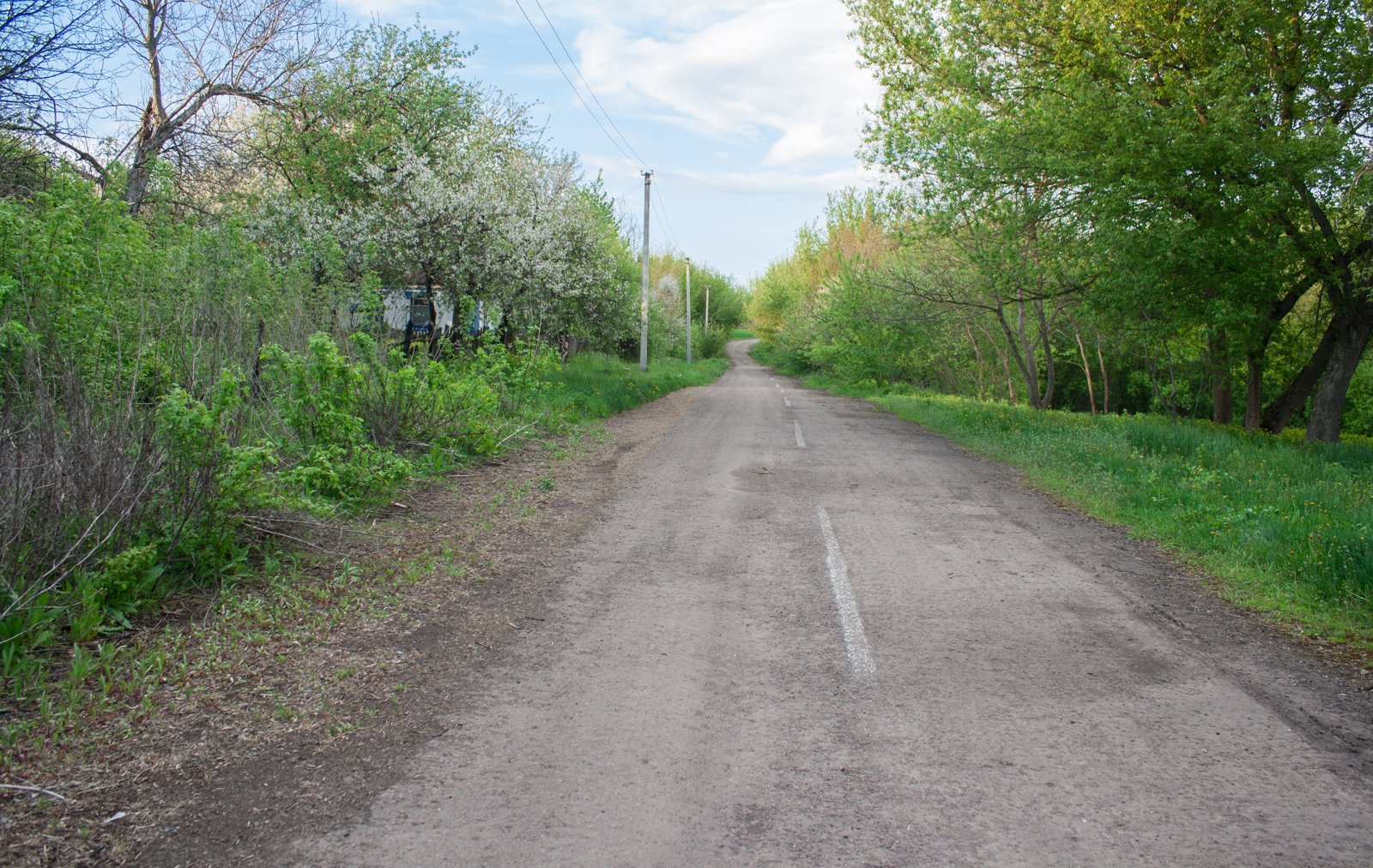 Фото села Ріденьке