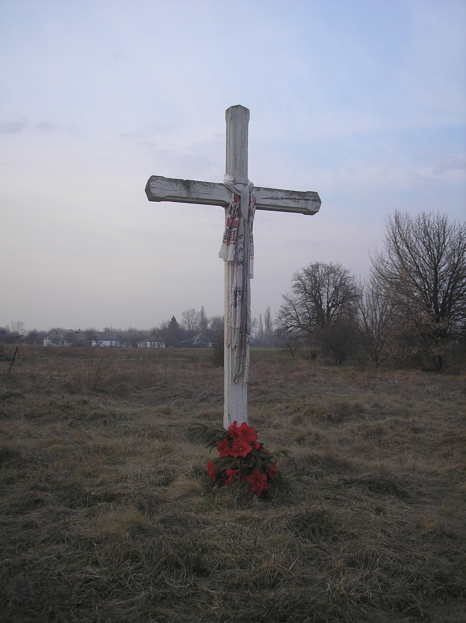Фото села Пристроми