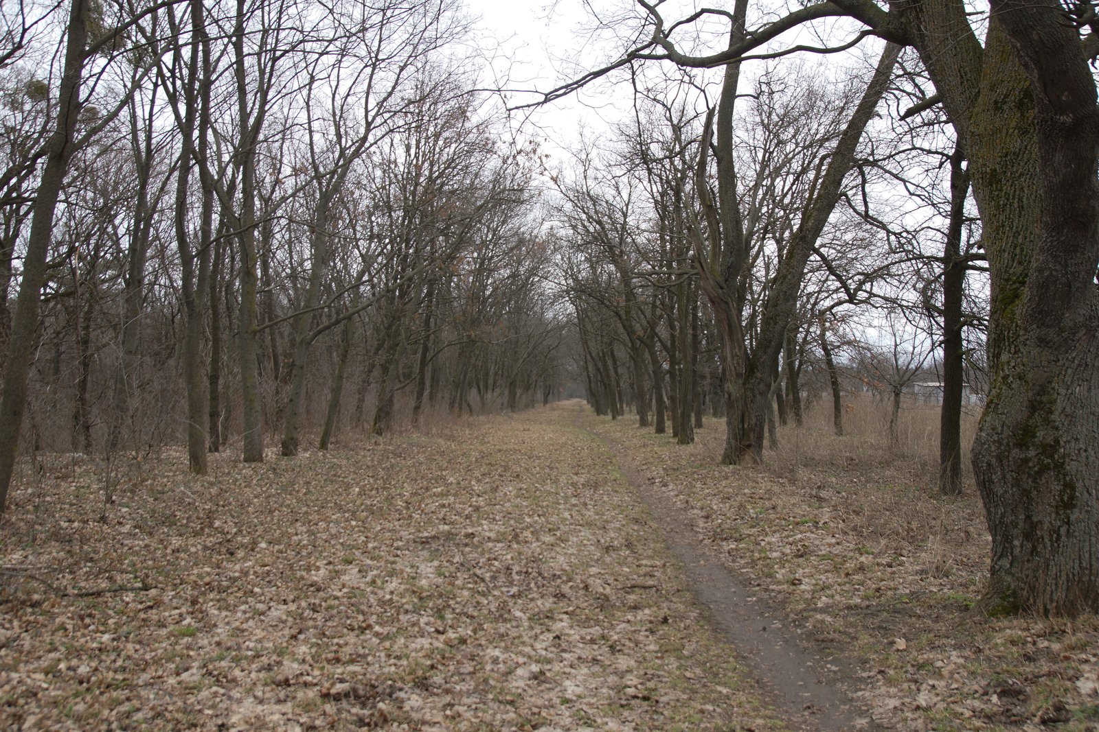 Фото села Ташань
