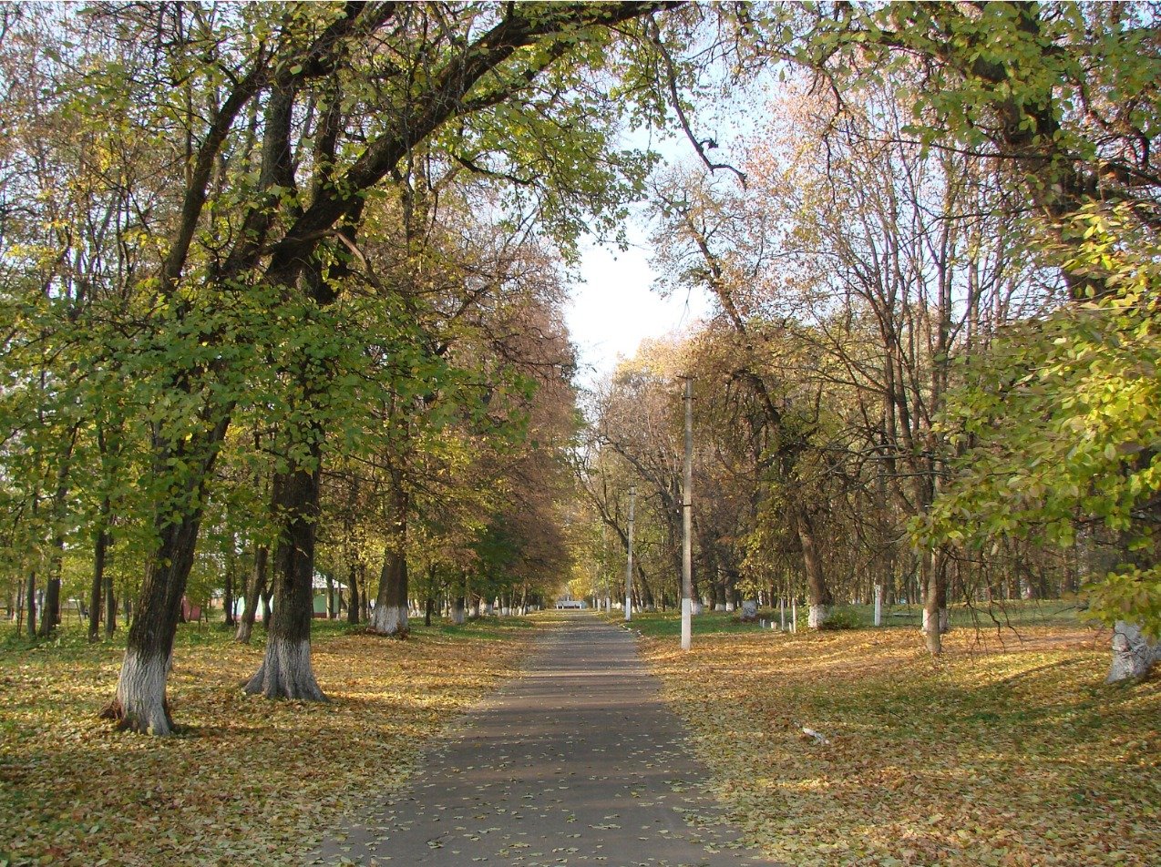 Фото села Згурівка