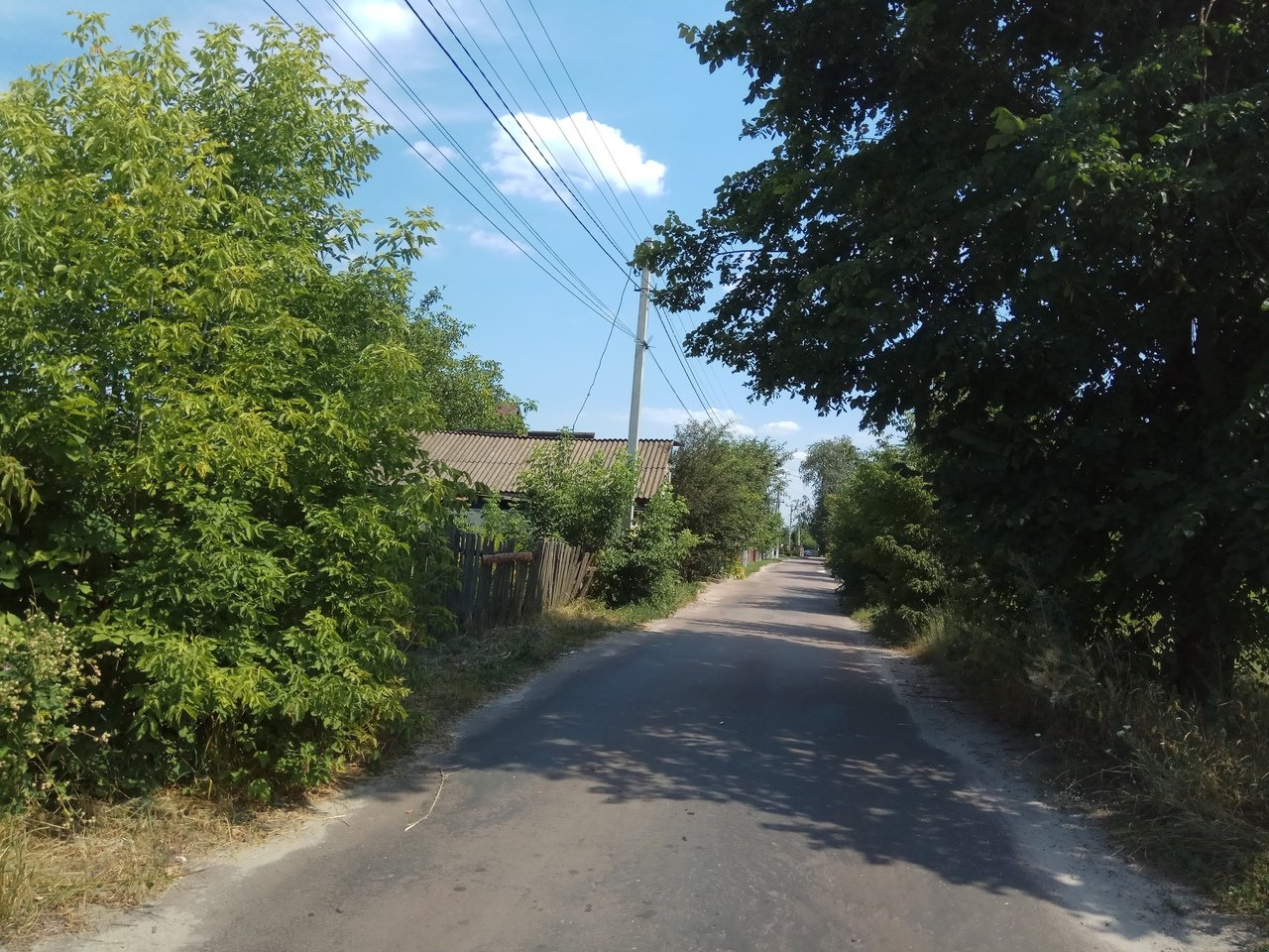 Фото села Рожівка
