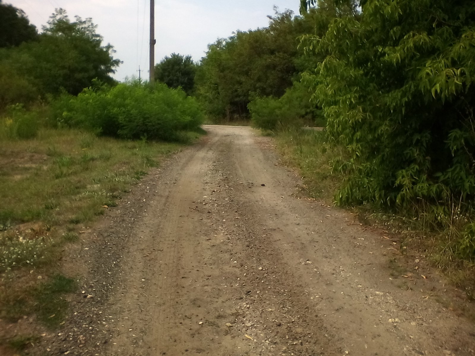 Фото села Рожівка