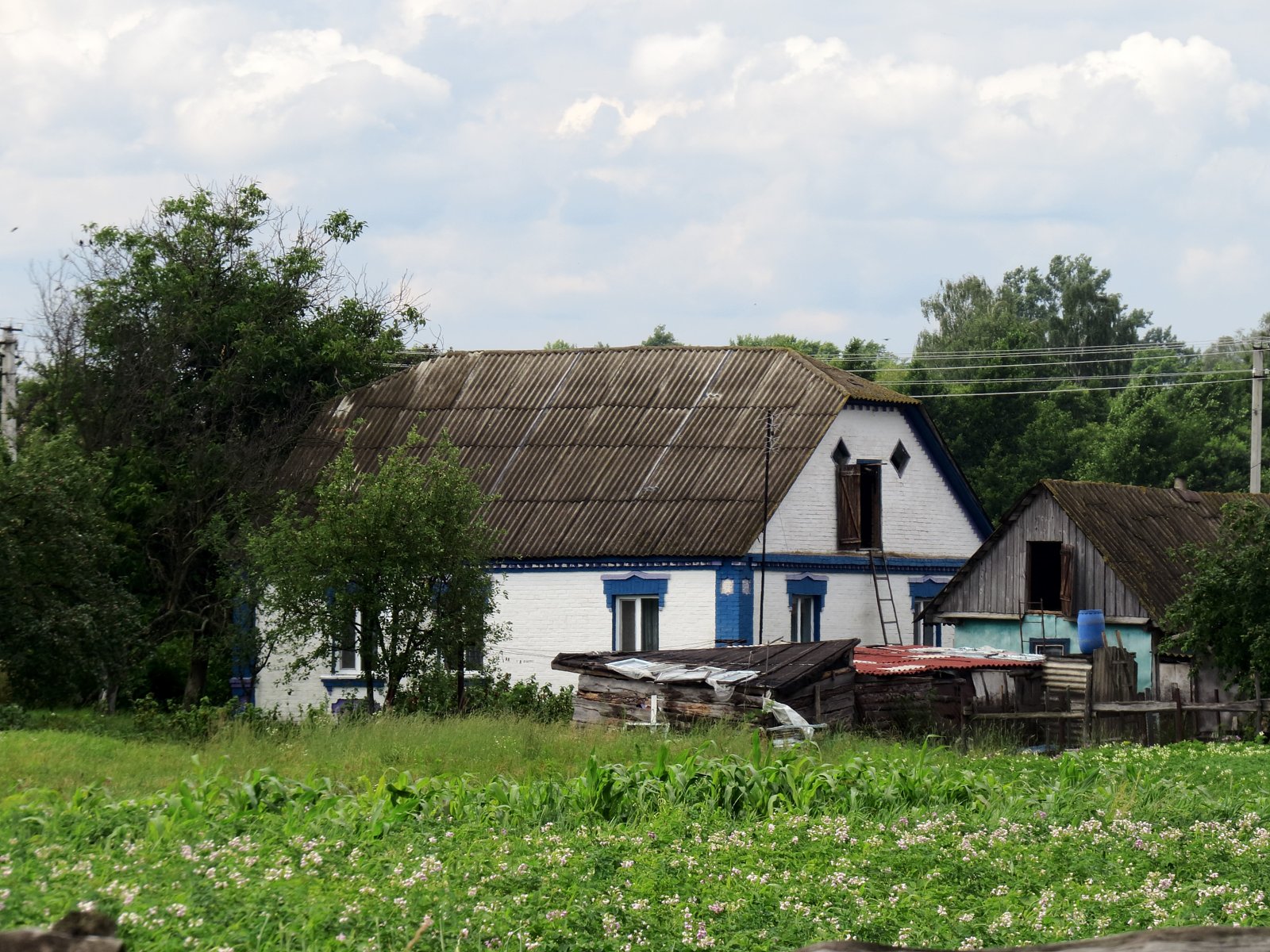 Фото села Козинці