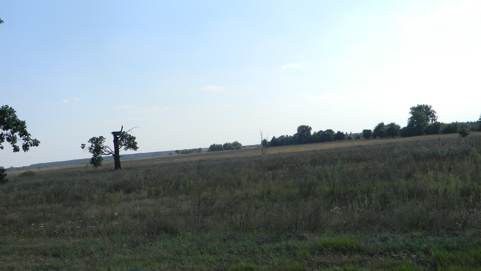 Фото села Волосінь