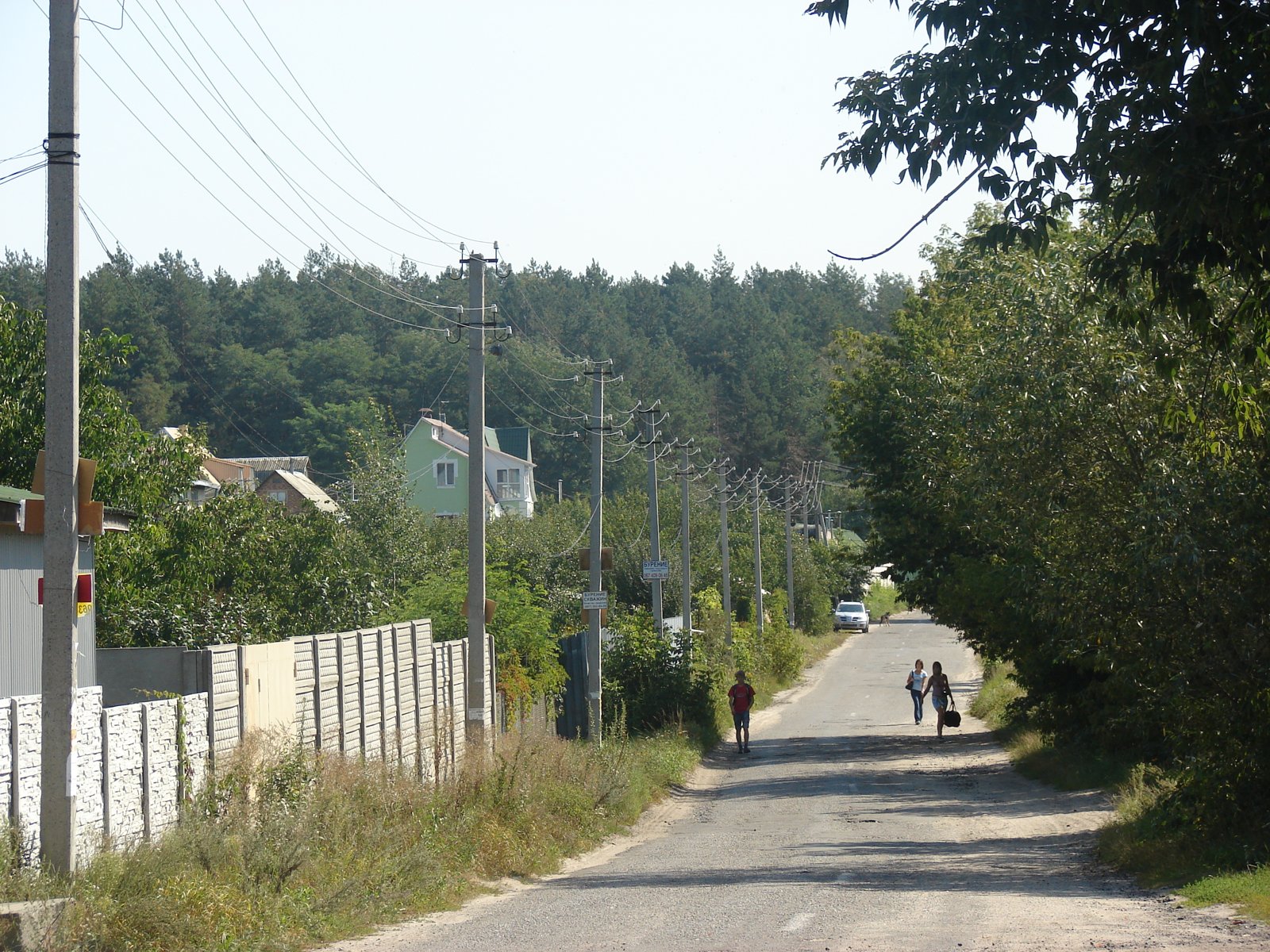 Фото села Миколаївка