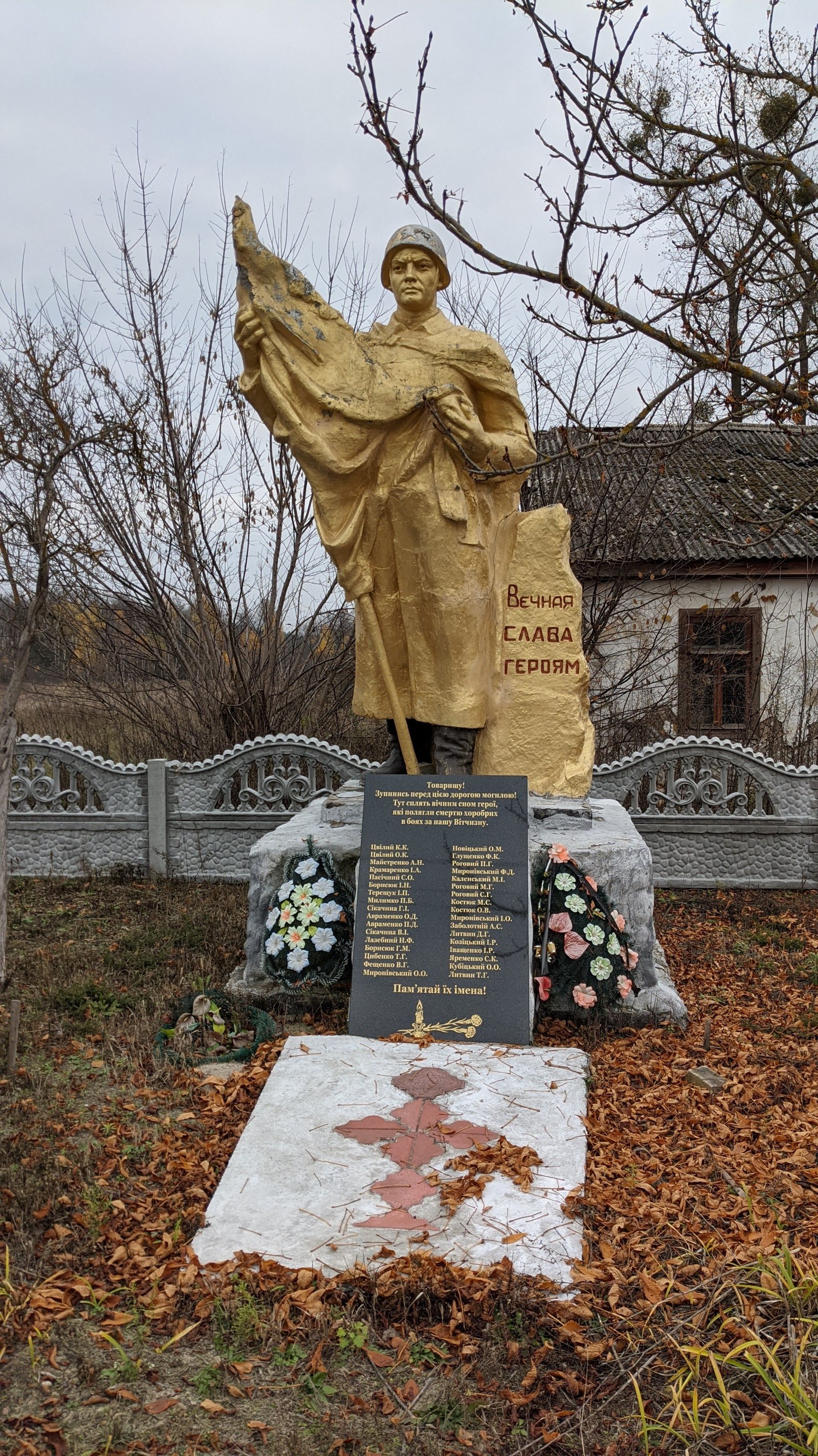 Фото села Новомирівка
