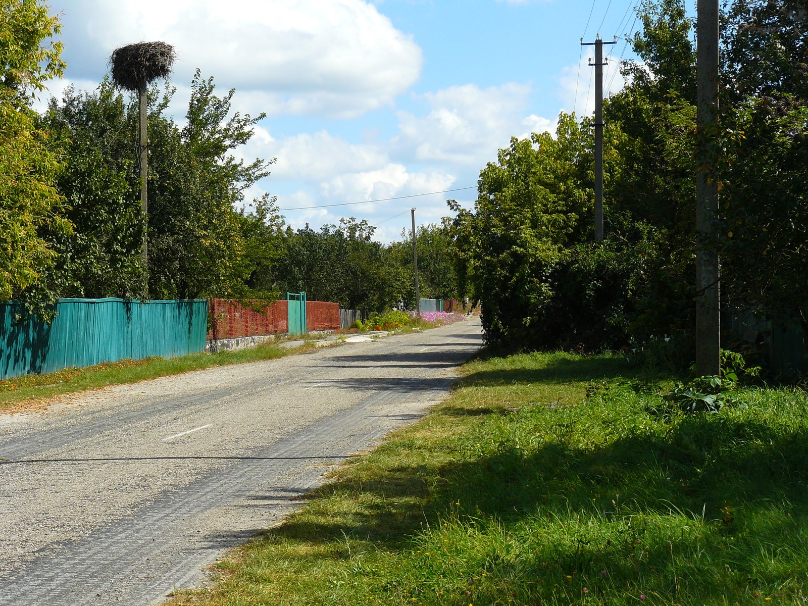 Фото села Шнурів Ліс