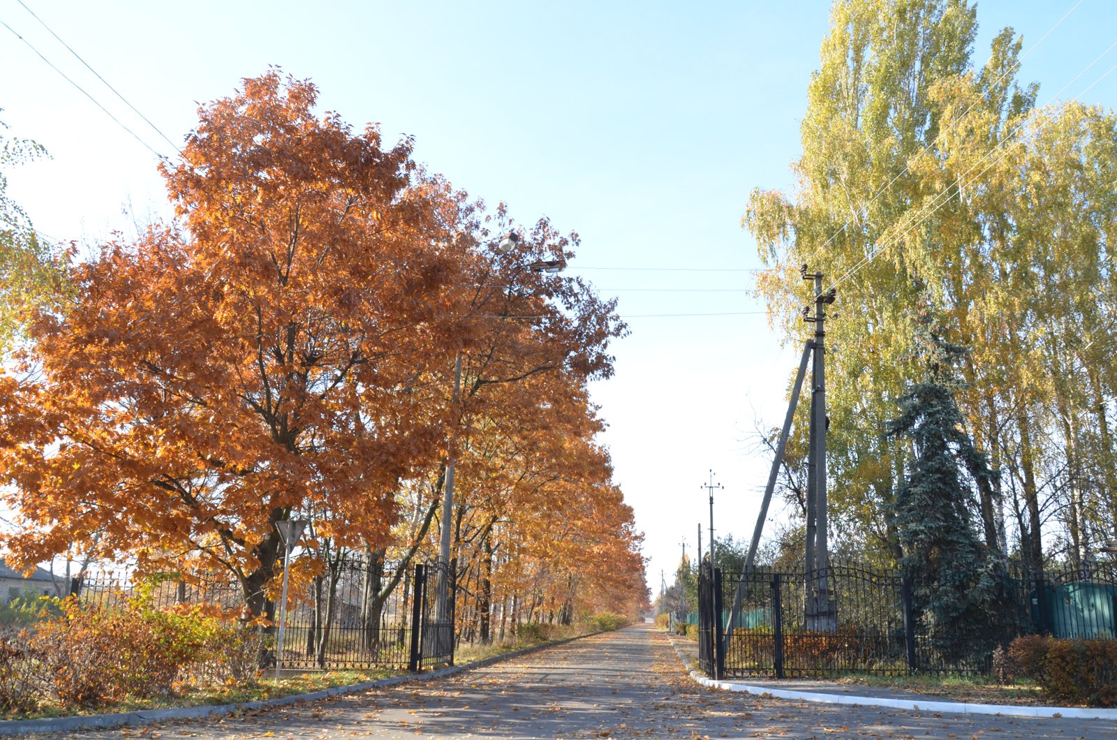 Фото села Сухолуччя