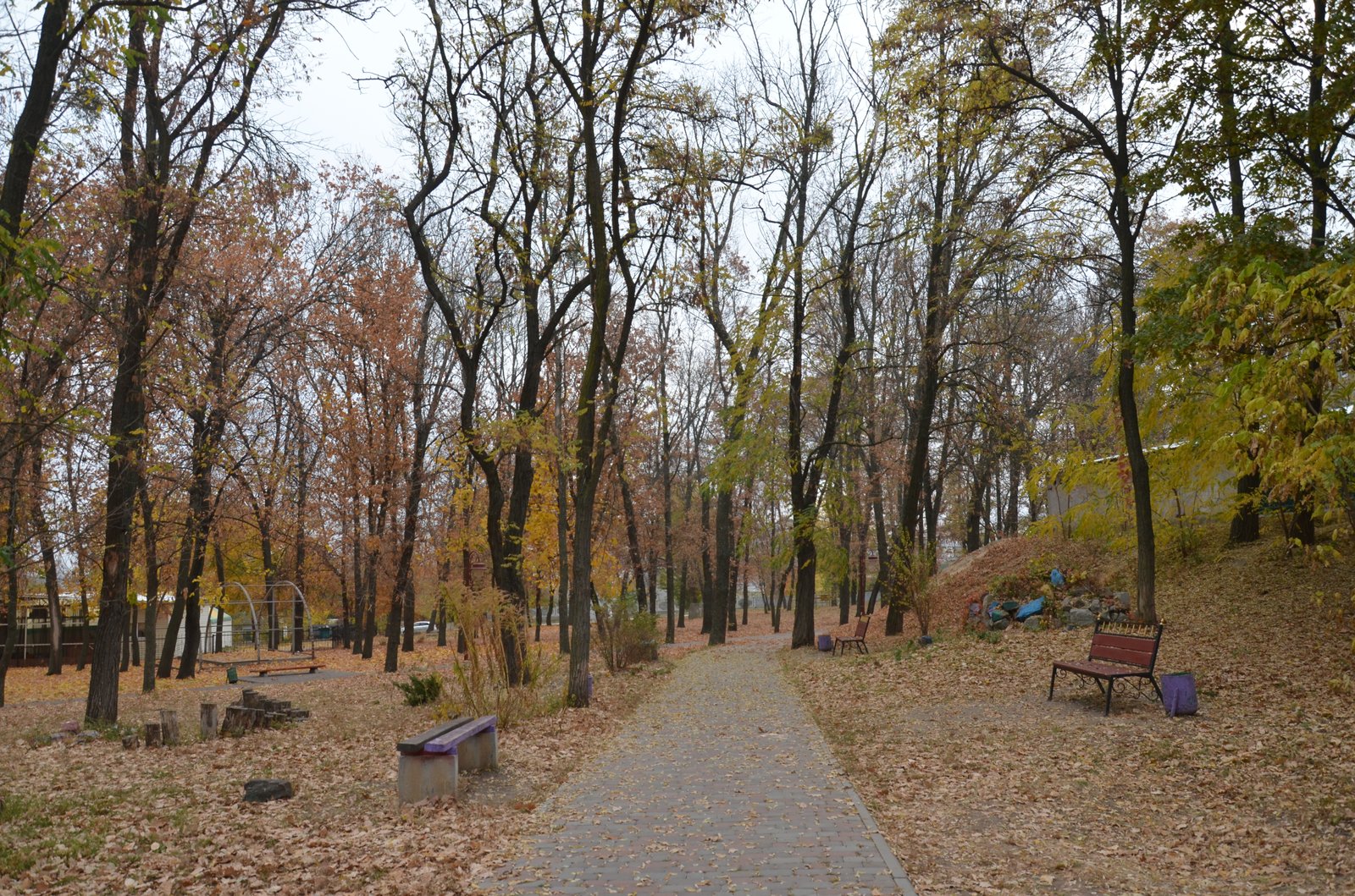 Фото села Миронівка