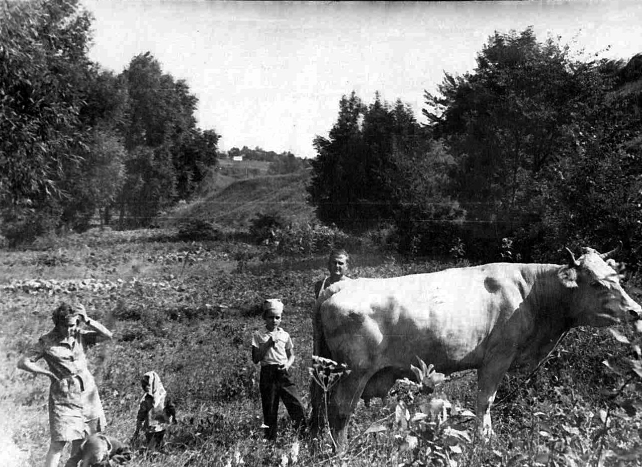 Фото села Пустовіти