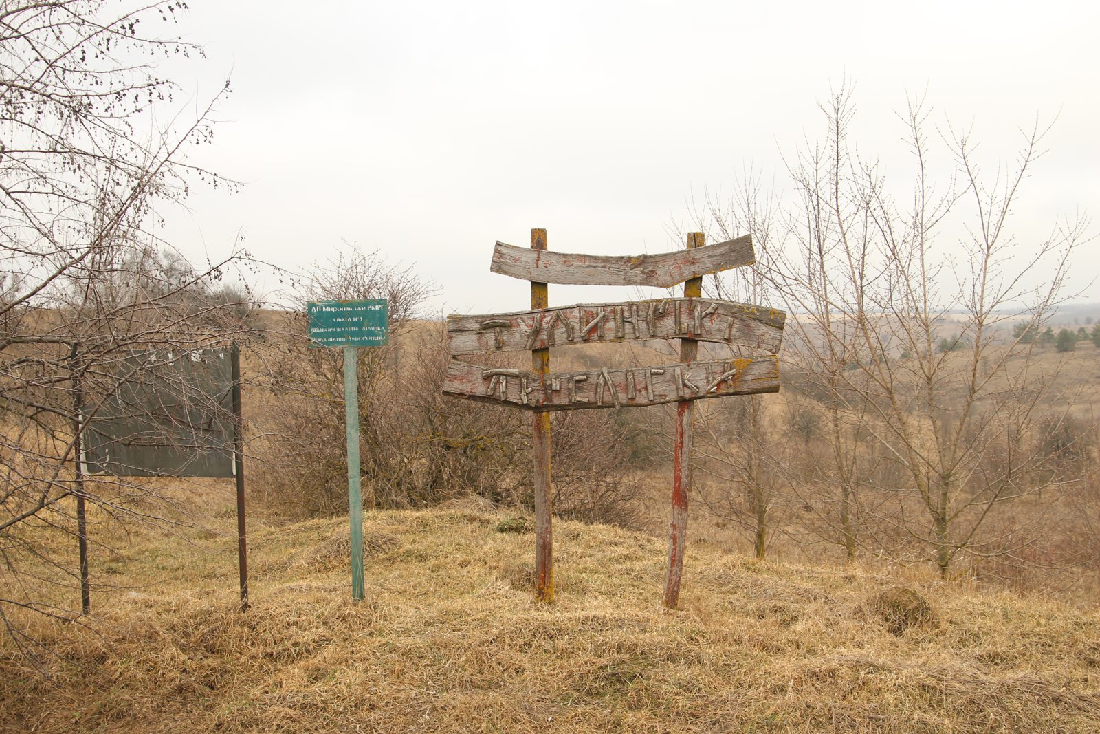 Фото села Тулинці