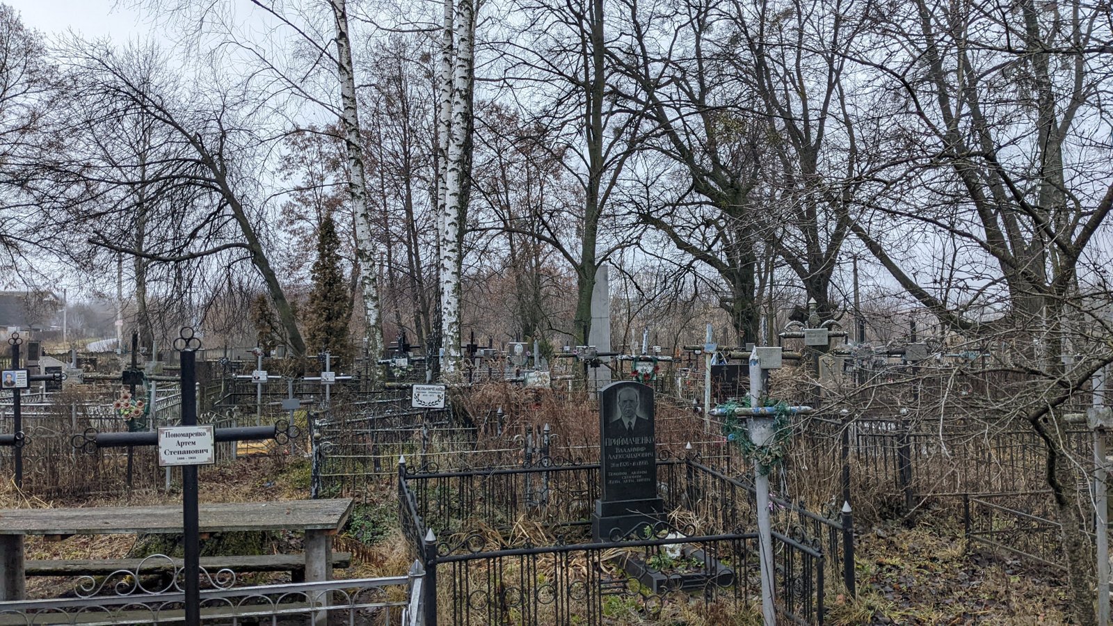 Фото села Княжичі