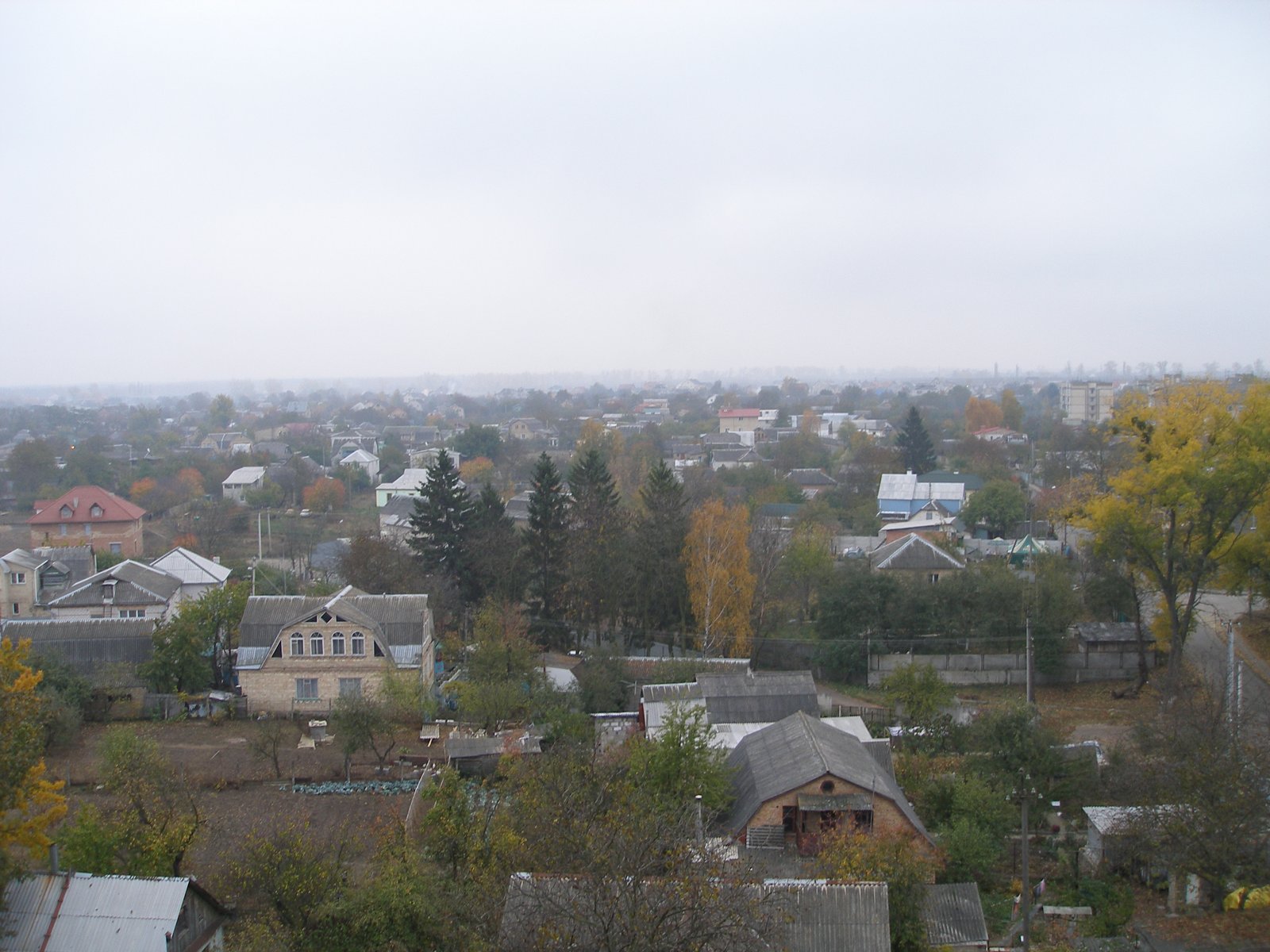 Фото села Тарасівка