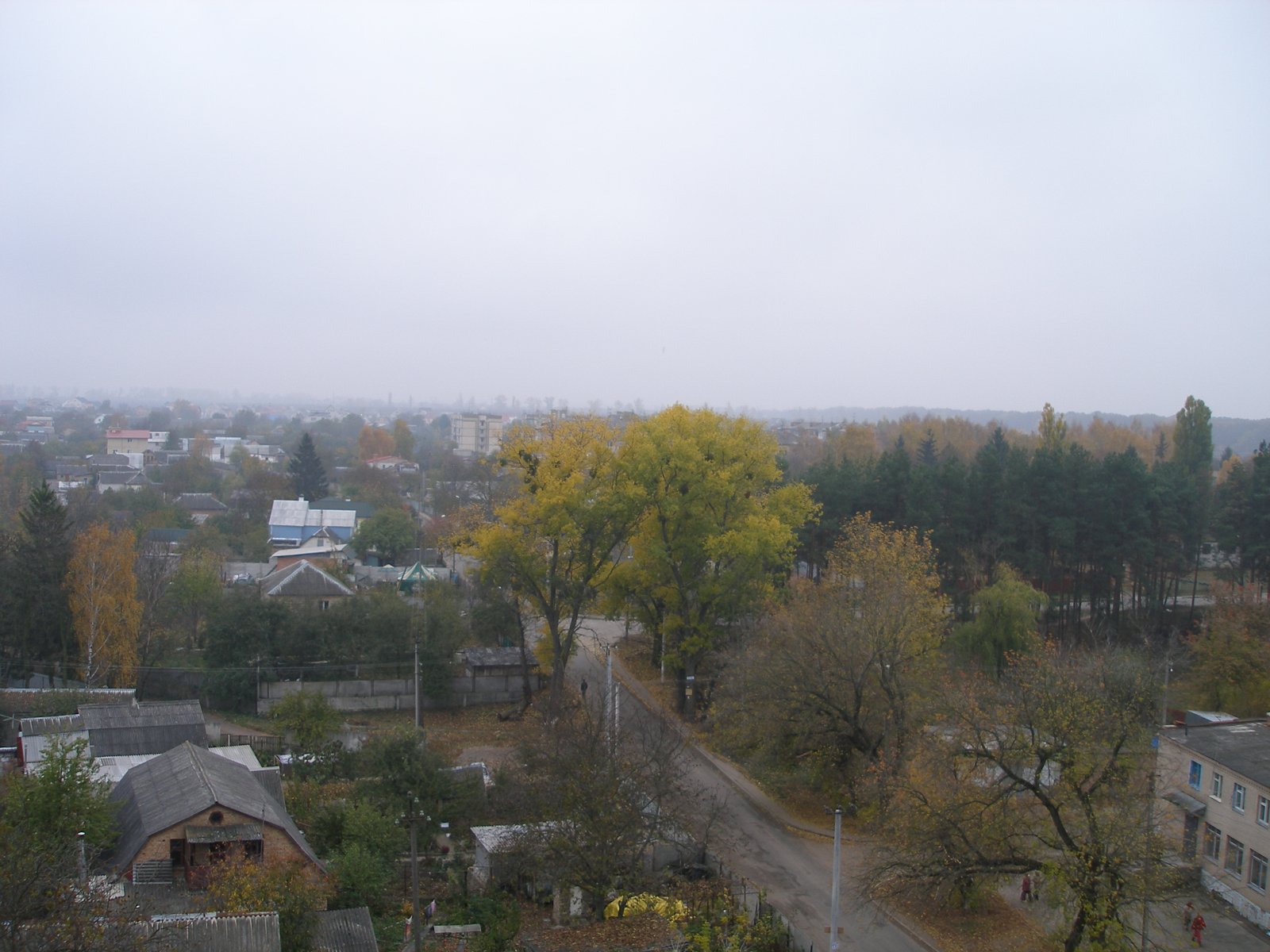 Фото села Тарасівка