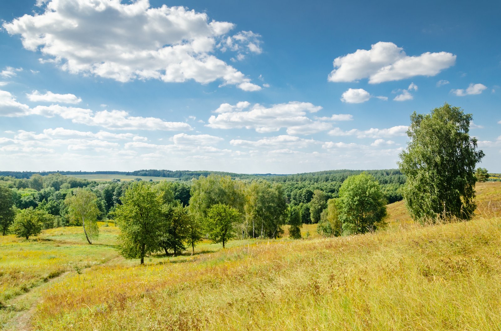 Фото села Крушинка